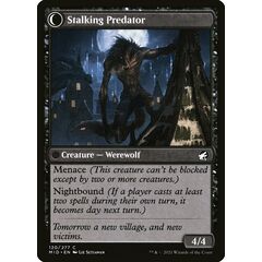 Shady Traveler // Stalking Predator