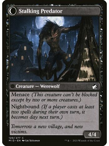 Shady Traveler // Stalking Predator
