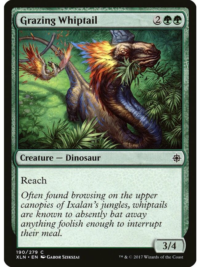 Grazing Whiptail