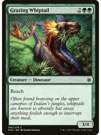 Grazing Whiptail