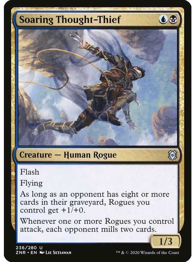 Soaring Thought-Thief