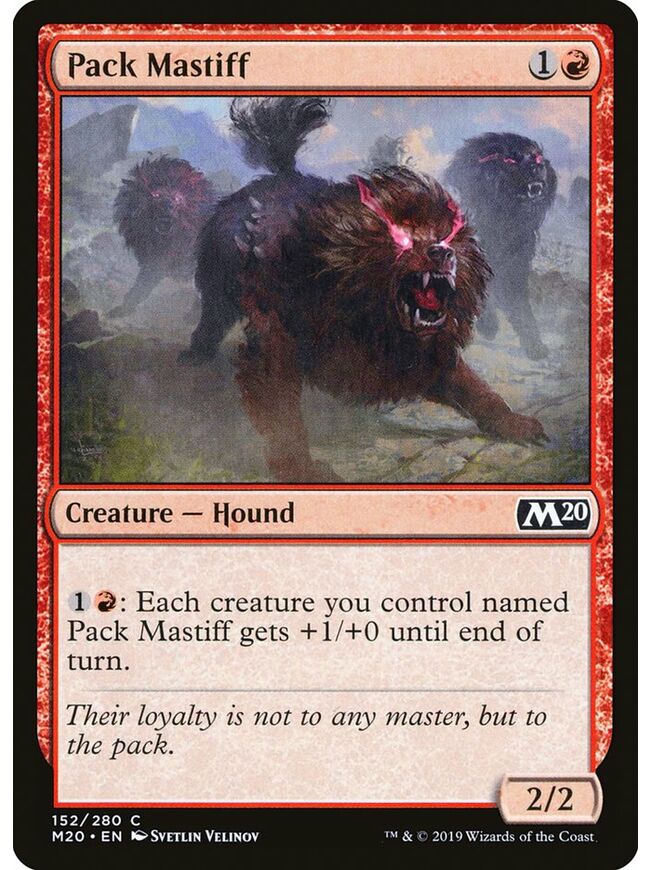 Pack Mastiff