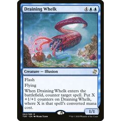 Draining Whelk