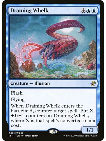 Draining Whelk