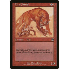 Wild Jhovall