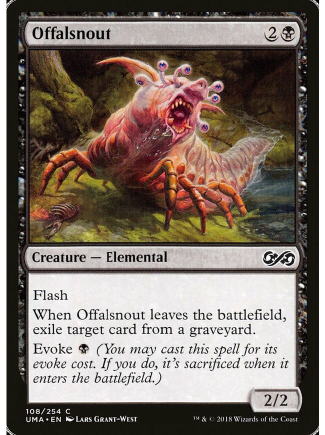 Offalsnout