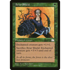 Briar Shield