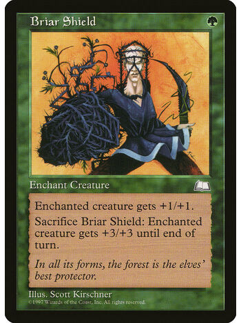 Briar Shield