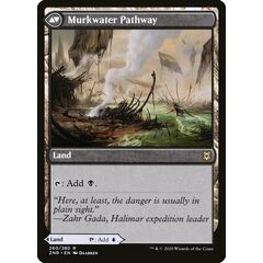 Clearwater Pathway // Murkwater Pathway