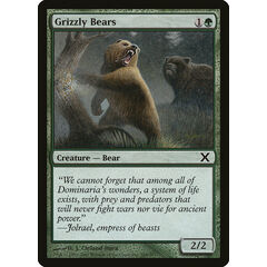 Grizzly Bears