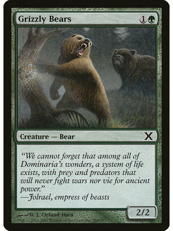 Grizzly Bears