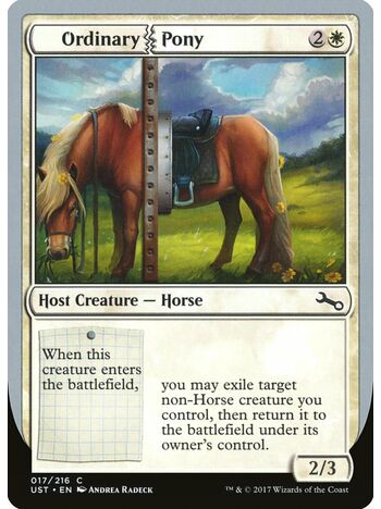 Ordinary Pony