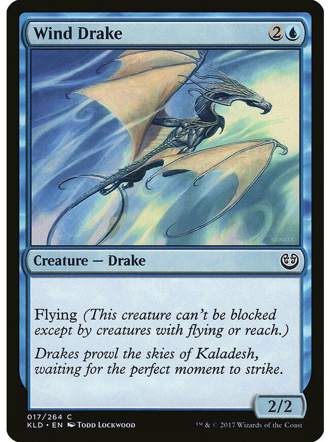 Wind Drake