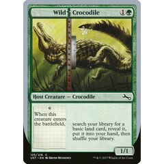 Wild Crocodile