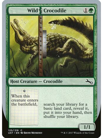 Wild Crocodile