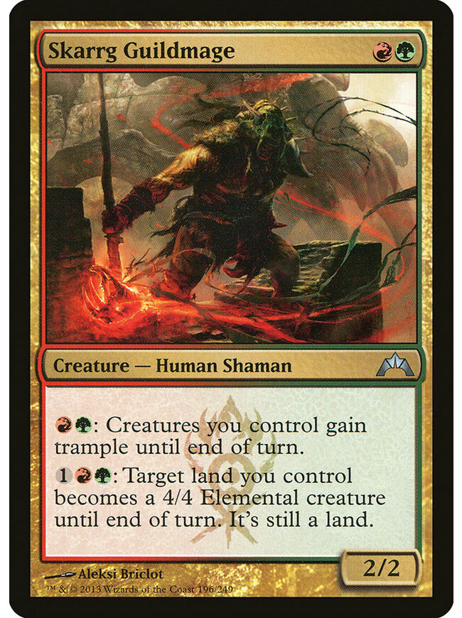 Skarrg Guildmage