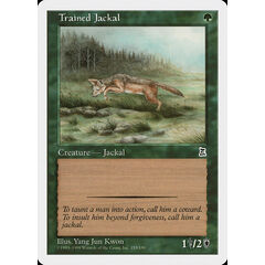 Trained Jackal