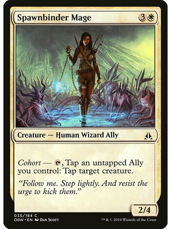 Spawnbinder Mage