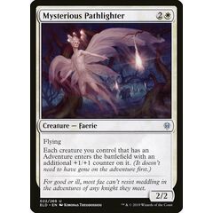 Mysterious Pathlighter
