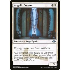 Angelic Curator