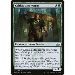 Caldaia Strongarm