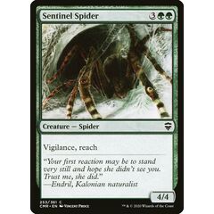 Sentinel Spider