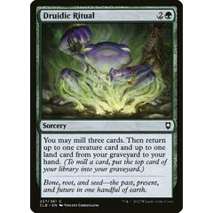 Druidic Ritual