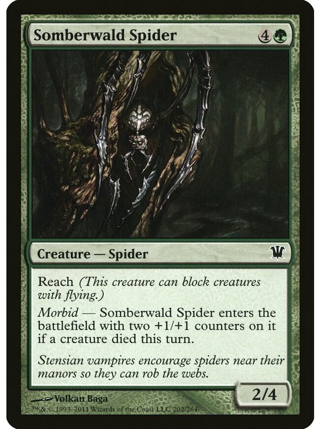 Somberwald Spider