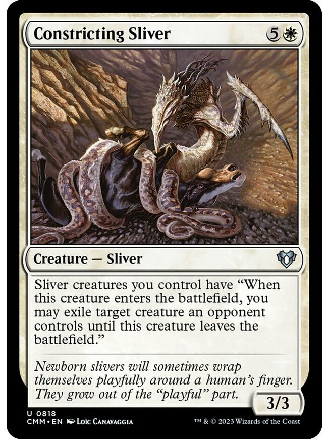Constricting Sliver
