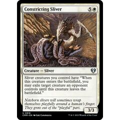 Constricting Sliver