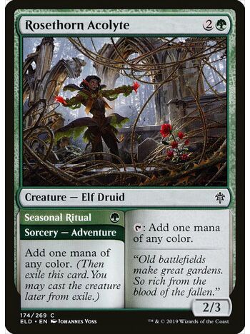 Rosethorn Acolyte // Seasonal Ritual