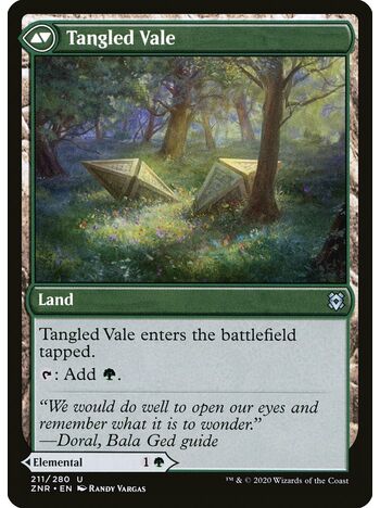 Tangled Florahedron // Tangled Vale