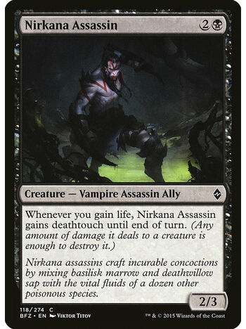 Nirkana Assassin
