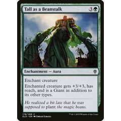 Tall as a Beanstalk