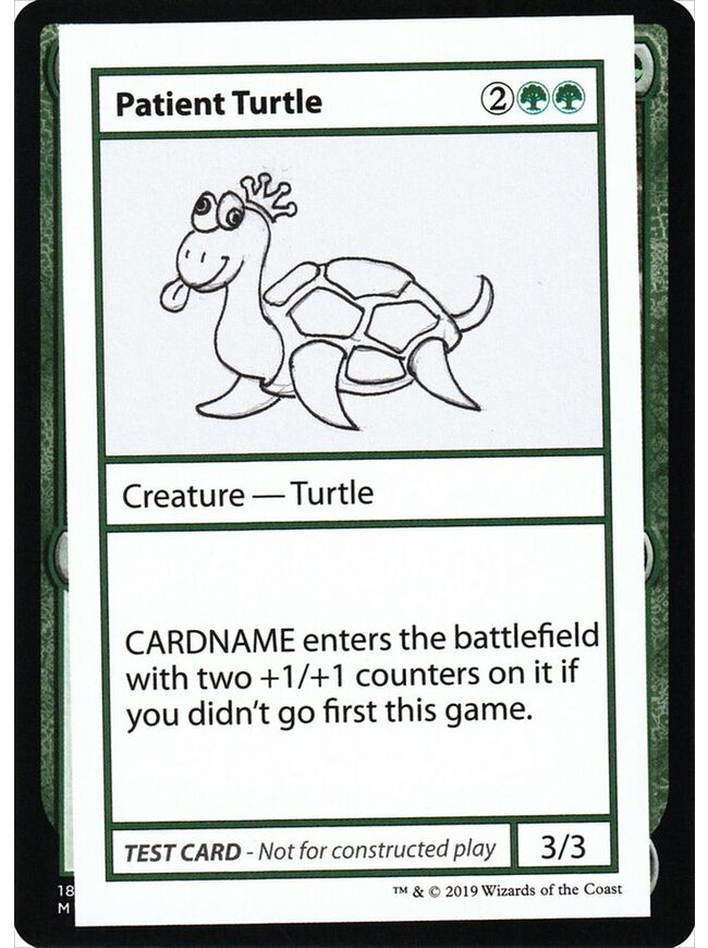 Patient Turtle
