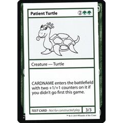Patient Turtle