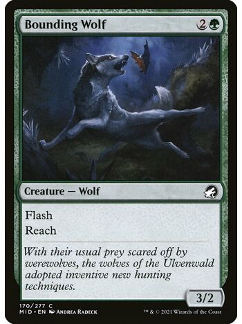 Bounding Wolf