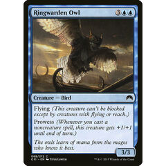 Ringwarden Owl