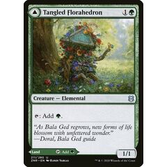 Tangled Florahedron // Tangled Vale