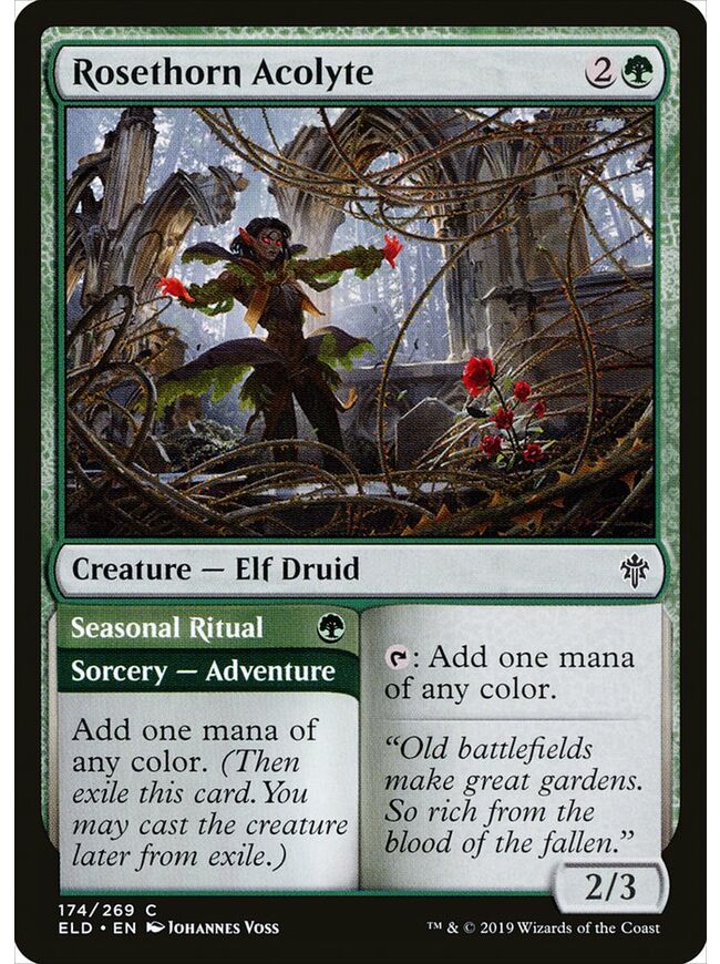 Rosethorn Acolyte // Seasonal Ritual
