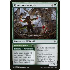 Rosethorn Acolyte // Seasonal Ritual