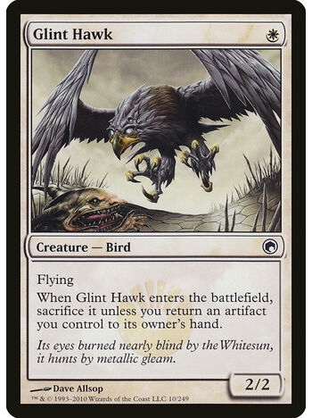 Glint Hawk