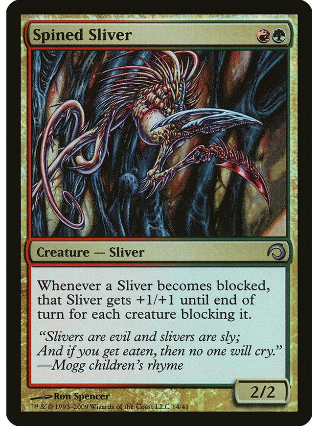 Spined Sliver
