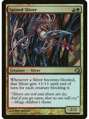 Spined Sliver