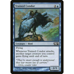 Trained Condor