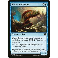Shipwreck Moray