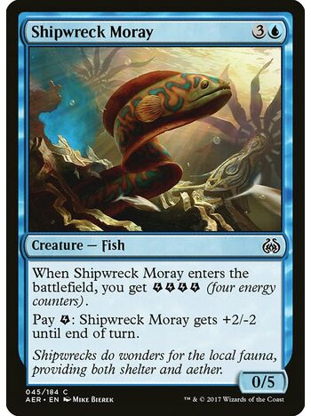 Shipwreck Moray