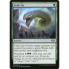 Scale Up