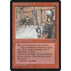 Veteran's Voice