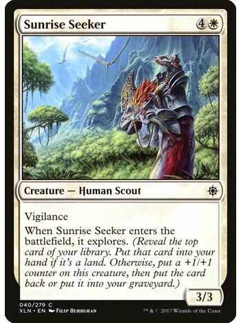 Sunrise Seeker